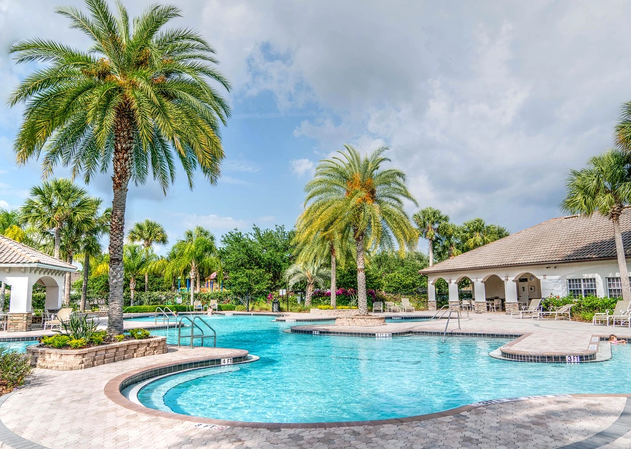 Beautiful swimming pool beside large trees, expertly built by a California pool construction company